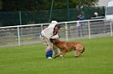 CAYENNE DE LA VALLEE DU GRAND LOUP-287