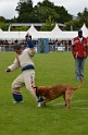 CAYENNE DE LA VALLEE DU GRAND LOUP-300