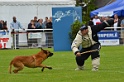 CAYENNE DE LA VALLEE DU GRAND LOUP-358