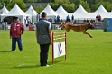 DEMOS DU BANC DES HERMELLES-094