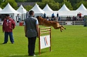 DEMOS DU BANC DES HERMELLES-100