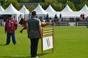 DEMOS DU BANC DES HERMELLES-101