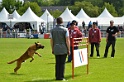 DEMOS DU BANC DES HERMELLES-102