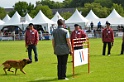 DEMOS DU BANC DES HERMELLES-106