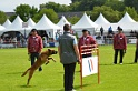 DEMOS DU BANC DES HERMELLES-107