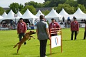 DEMOS DU BANC DES HERMELLES-107