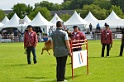 DEMOS DU BANC DES HERMELLES-108