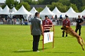 DEMOS DU BANC DES HERMELLES-111