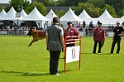 DEMOS DU BANC DES HERMELLES-114