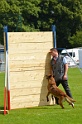 DEMOS DU BANC DES HERMELLES-139