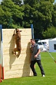 DEMOS DU BANC DES HERMELLES-152