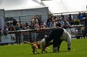 DEMOS DU BANC DES HERMELLES-257