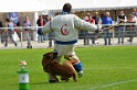 DEMOS DU BANC DES HERMELLES-367