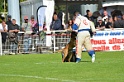 DENARD DES PLAINES DE THIERACHE-305