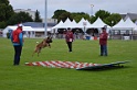 DOGO DU DOMAINE DE CAUVIGNY DIT DARIUS-074