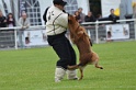 DOGO DU DOMAINE DE CAUVIGNY DIT DARIUS-130