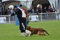 DOGO DU DOMAINE DE CAUVIGNY DIT DARIUS-148