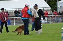 DOGO DU DOMAINE DE CAUVIGNY DIT DARIUS-155