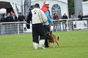 DOGO DU DOMAINE DE CAUVIGNY DIT DARIUS-161