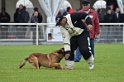 DOGO DU DOMAINE DE CAUVIGNY DIT DARIUS-170