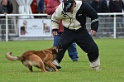 DOGO DU DOMAINE DE CAUVIGNY DIT DARIUS-172