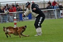 DOGO DU DOMAINE DE CAUVIGNY DIT DARIUS-191