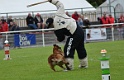 DOGO DU DOMAINE DE CAUVIGNY DIT DARIUS-193