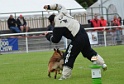 DOGO DU DOMAINE DE CAUVIGNY DIT DARIUS-194