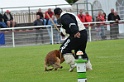 DOGO DU DOMAINE DE CAUVIGNY DIT DARIUS-195