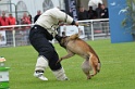 DOGO DU DOMAINE DE CAUVIGNY DIT DARIUS-203