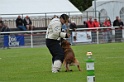 DOGO DU DOMAINE DE CAUVIGNY DIT DARIUS-209