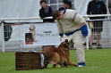 DOGO DU DOMAINE DE CAUVIGNY DIT DARIUS-233