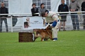 DOGO DU DOMAINE DE CAUVIGNY DIT DARIUS-235