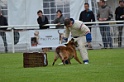 DOGO DU DOMAINE DE CAUVIGNY DIT DARIUS-237