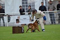 DOGO DU DOMAINE DE CAUVIGNY DIT DARIUS-238