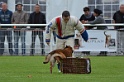 DOGO DU DOMAINE DE CAUVIGNY DIT DARIUS-254