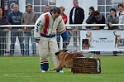 DOGO DU DOMAINE DE CAUVIGNY DIT DARIUS-272