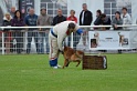 DOGO DU DOMAINE DE CAUVIGNY DIT DARIUS-273