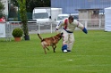 DOGO DU DOMAINE DE CAUVIGNY DIT DARIUS-299