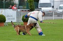 DOGO DU DOMAINE DE CAUVIGNY DIT DARIUS-303