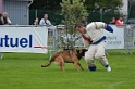 DOGO DU DOMAINE DE CAUVIGNY DIT DARIUS-308