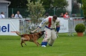 DOGO DU DOMAINE DE CAUVIGNY DIT DARIUS-311