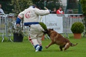 DOGO DU DOMAINE DE CAUVIGNY DIT DARIUS-312