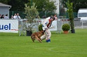 DOGO DU DOMAINE DE CAUVIGNY DIT DARIUS-315