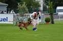 DOGO DU DOMAINE DE CAUVIGNY DIT DARIUS-316