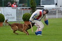 DOGO DU DOMAINE DE CAUVIGNY DIT DARIUS-319