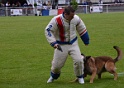 DOGO DU DOMAINE DE CAUVIGNY DIT DARIUS-341