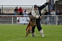 DOGO DU DOMAINE DE CAUVIGNY DIT DARIUS-370