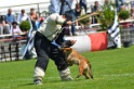 DOGTRA DU DOMAINE D'ORCA-183