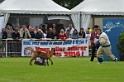 FEDZARRO DU BANC DES HERMELLES-201